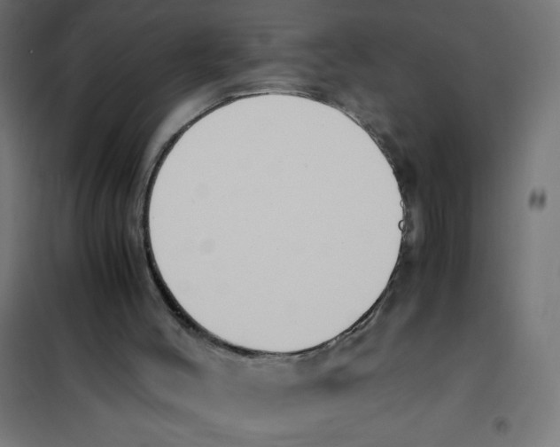 X0000101680004200808071120