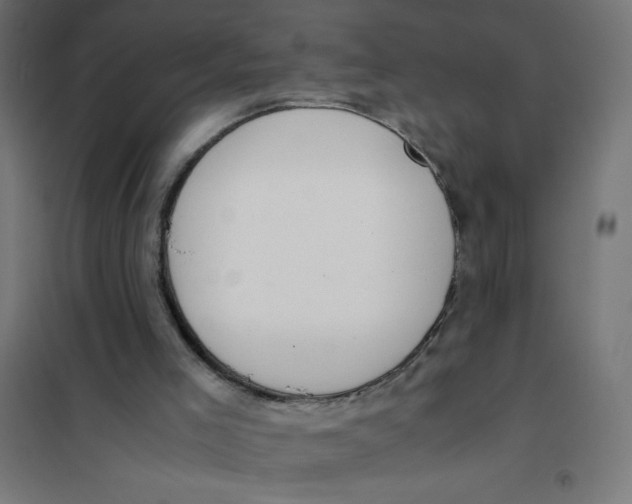 X0000101680005200808071120