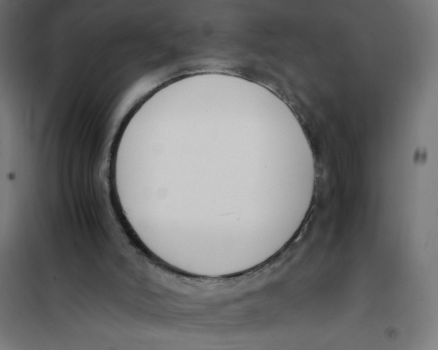 X0000101680006200808071120