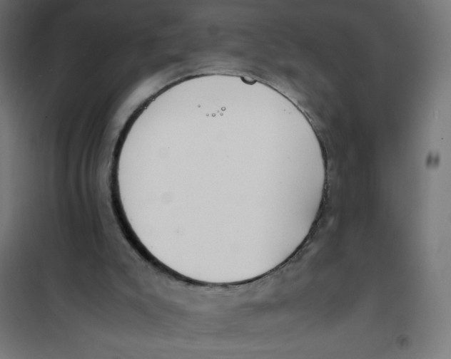 X0000101680007200808071120