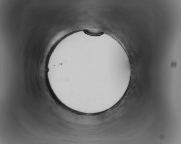 X0000101680008200808071120