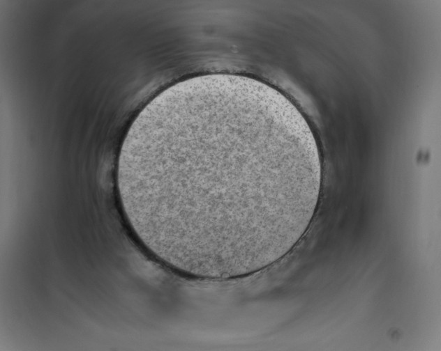 X0000101680009200808071120