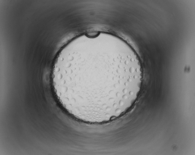 X0000101680010200808071120