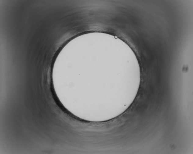 X0000101680011200808071120