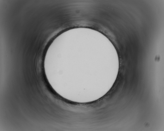 X0000101680012200808071120