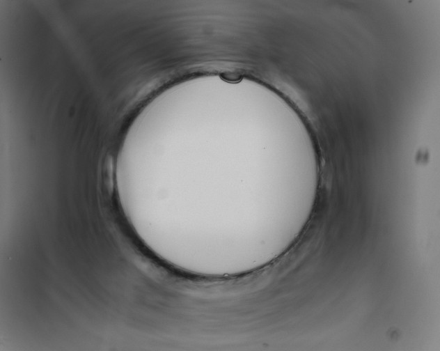 X0000101680013200808071120