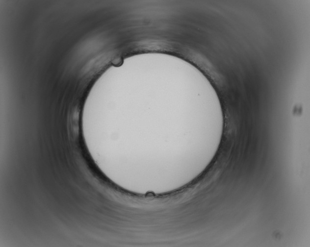 X0000101680014200808071120