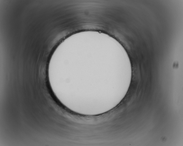 X0000101680015200808071120
