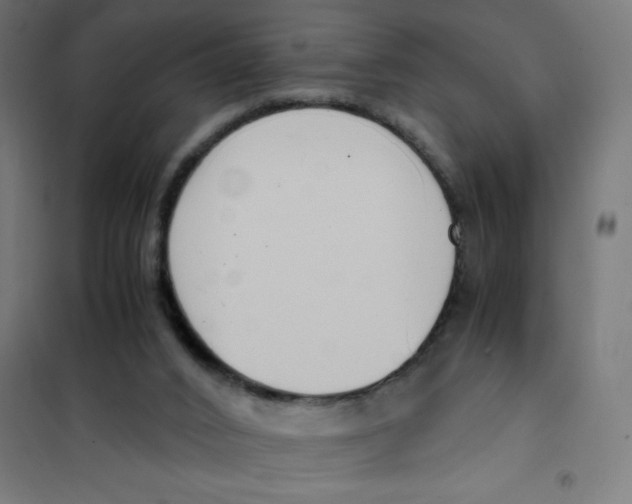 X0000101680016200808071120