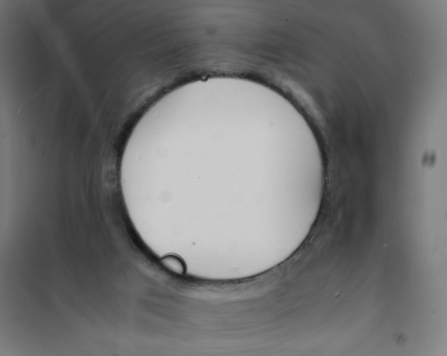 X0000101680017200808071120