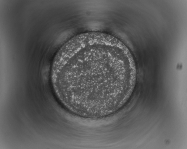 X0000101680018200808071120