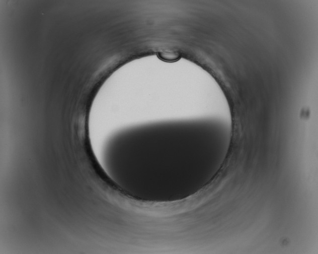 X0000101680019200808071120