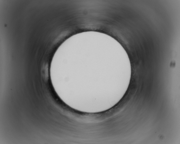 X0000101680020200808071120