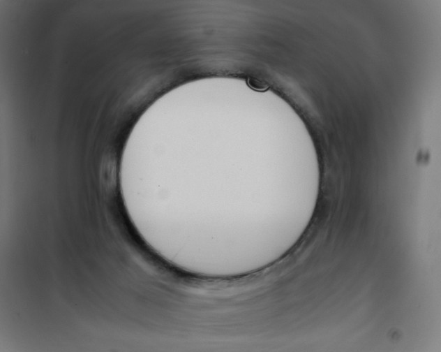 X0000101680021200808071120