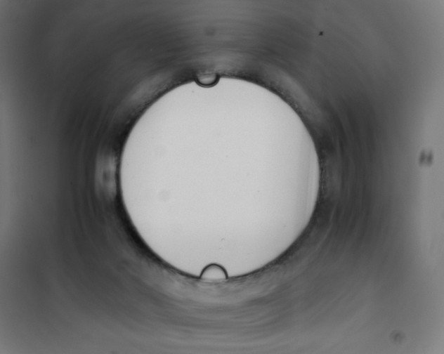 X0000101680022200808071120