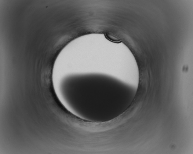 X0000101680023200808071120