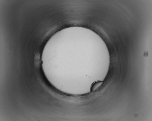 X0000101680024200808071120