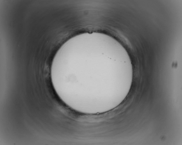X0000101680025200808071119