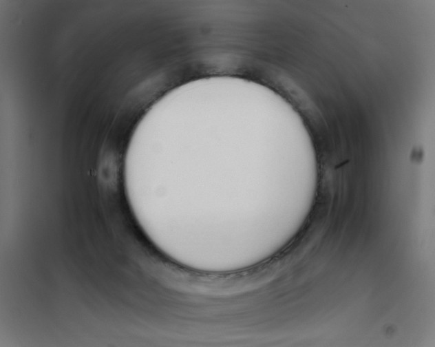 X0000101680026200808071119