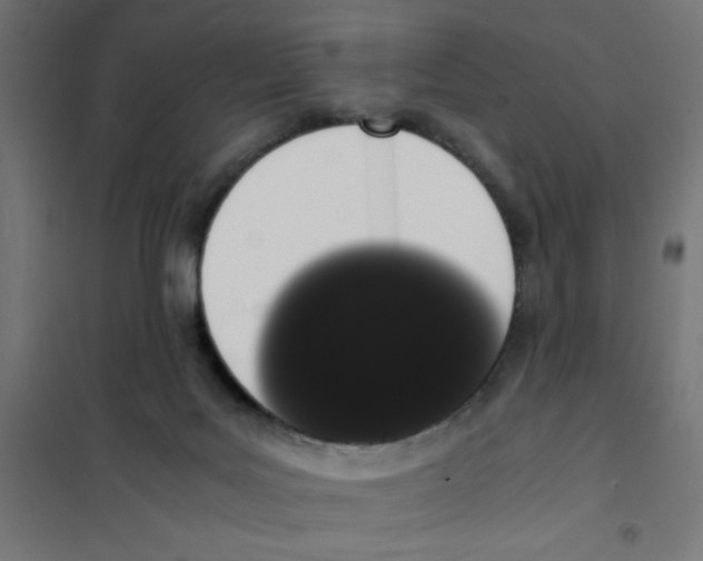 X0000101680027200808071119