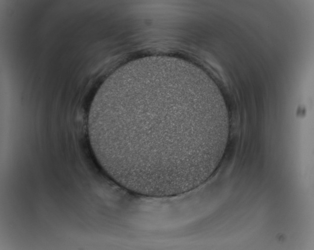 X0000101680029200808071119