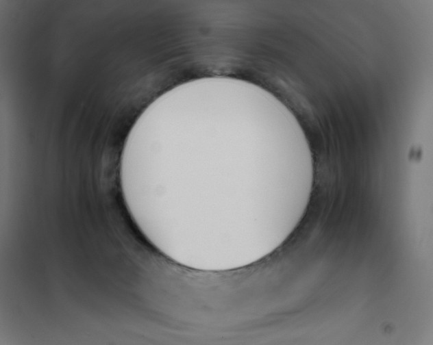 X0000101680030200808071119