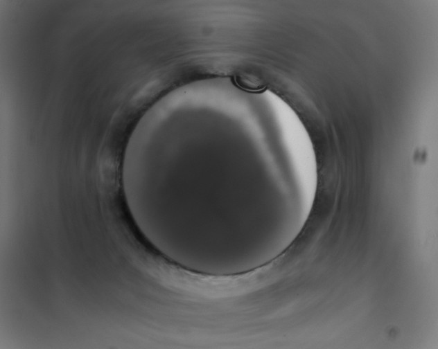X0000101680031200808071119