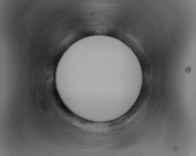 X0000101680032200808071119