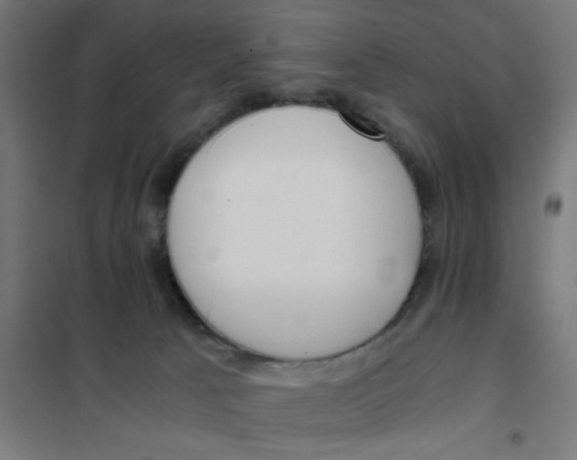 X0000101680033200808071119