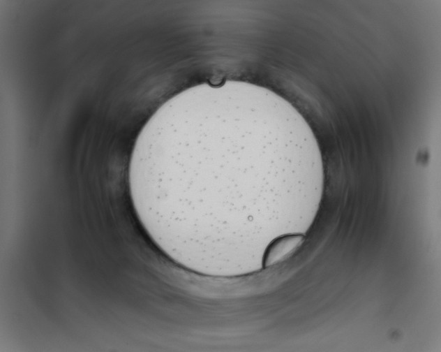 X0000101680034200808071119