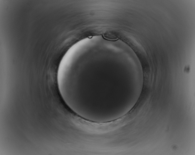 X0000101680035200808071119