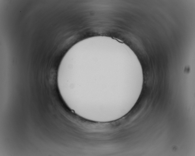 X0000101680036200808071119