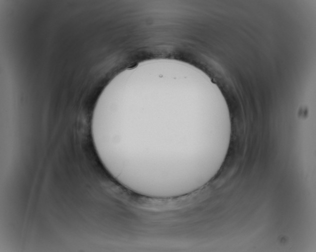 X0000101680037200808071119