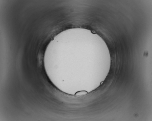 X0000101680038200808071119
