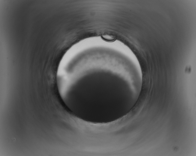 X0000101680039200808071119