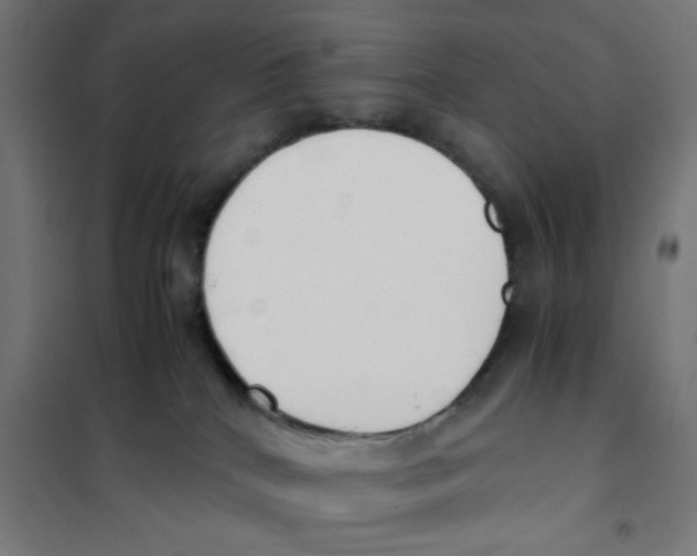 X0000101680040200808071119