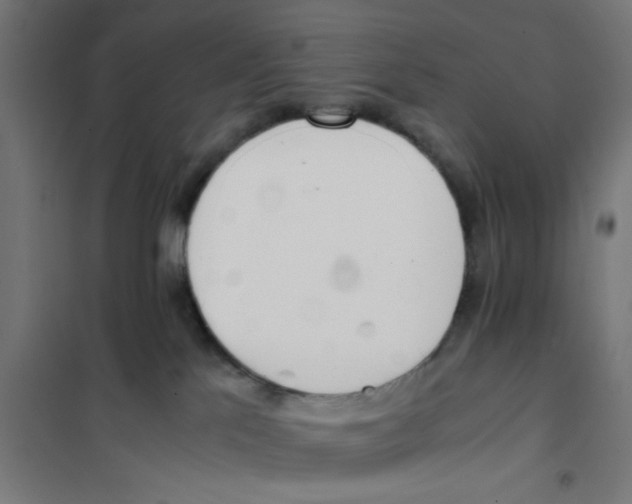 X0000101680041200808071119