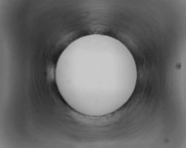 X0000101680042200808071119