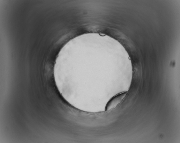 X0000101680043200808071119
