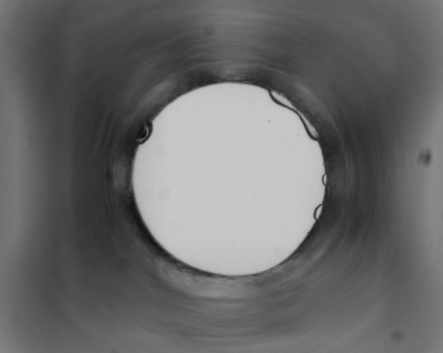 X0000101680044200808071119