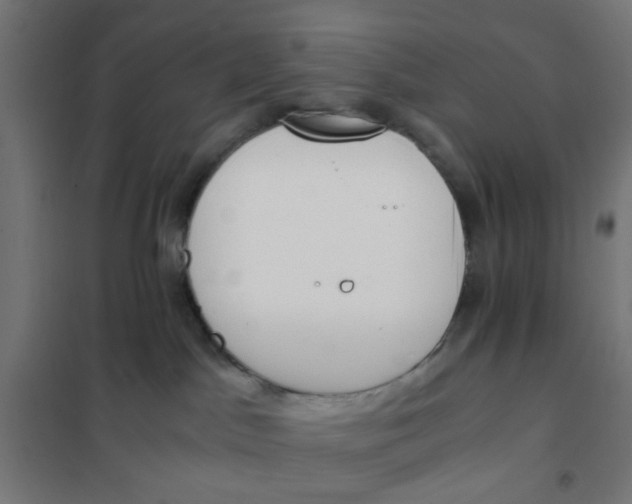 X0000101680045200808071119