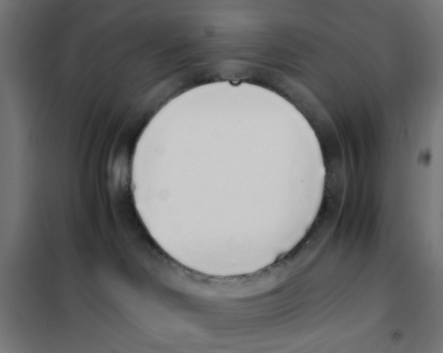 X0000101680046200808071119