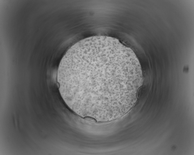X0000101680047200808071119
