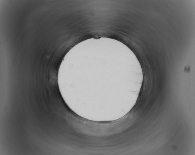 X0000101680048200808071119