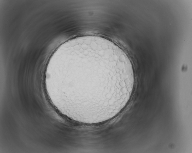 X0000101680049200808071118