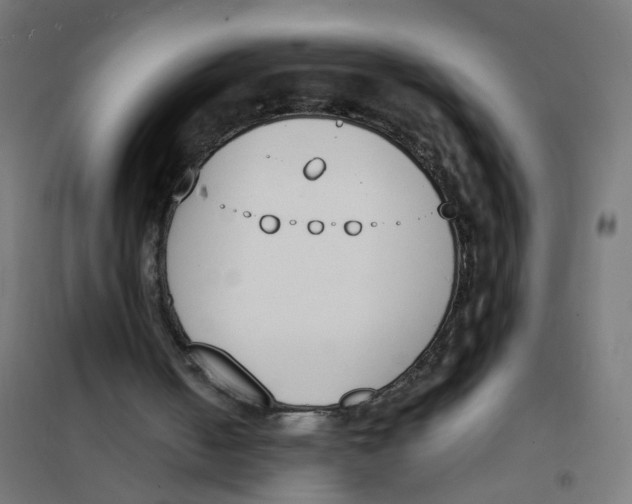 X0000101680050200808071118