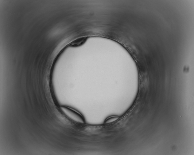 X0000101680051200808071118