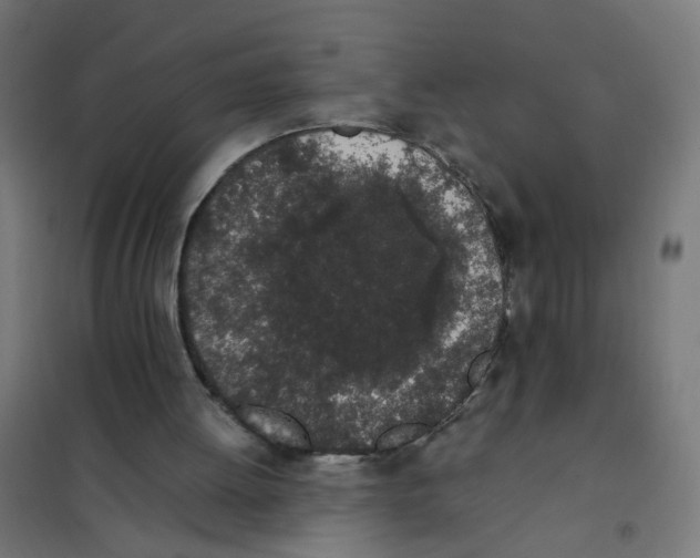 X0000101680052200808071118