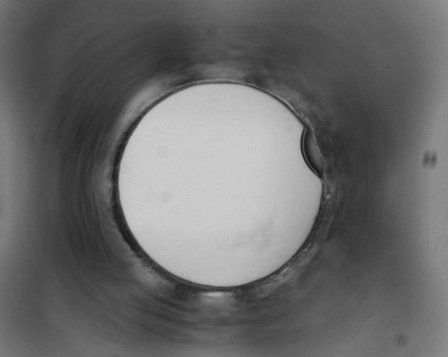 X0000101680053200808071118