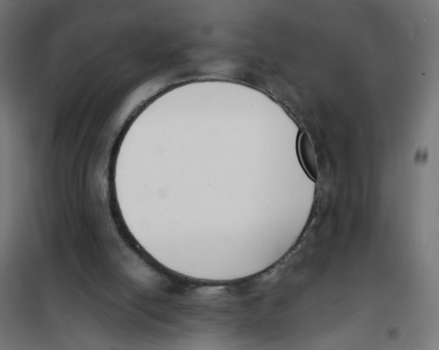 X0000101680054200808071118